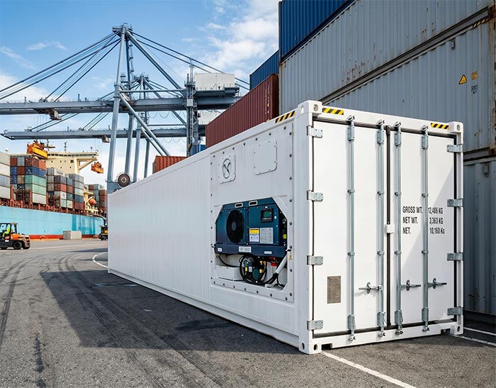 Refrigerated reefer container